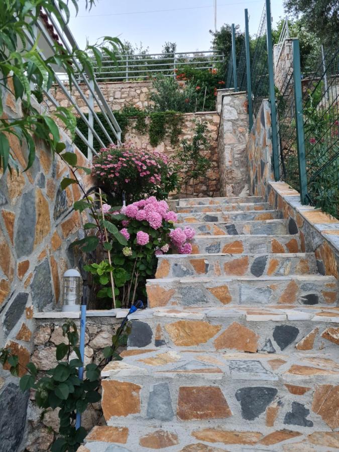 Vuno Vila Tatjana 게스트하우스 외부 사진