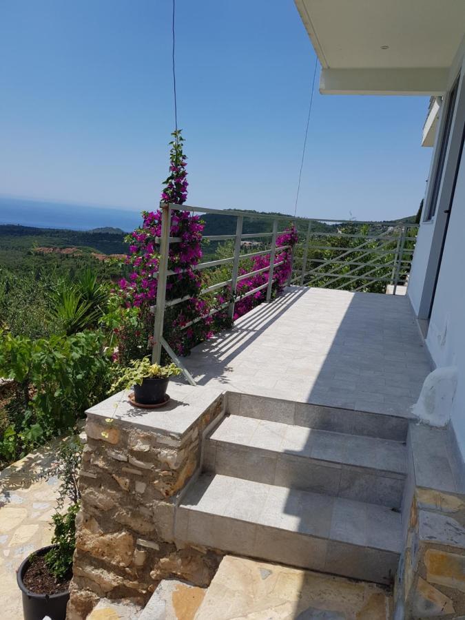 Vuno Vila Tatjana 게스트하우스 외부 사진